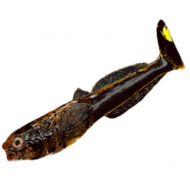 Qubi Lures gumová nástraha Głowacz Motor Oil 10cm 2ks