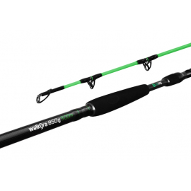 Delphin Prut Walkýra 3 m 850 g 2 díl