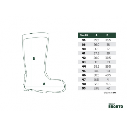 Delphin Holínky Bronto