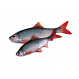 Ultra Natural Roach Fillet 8cm 4pcs