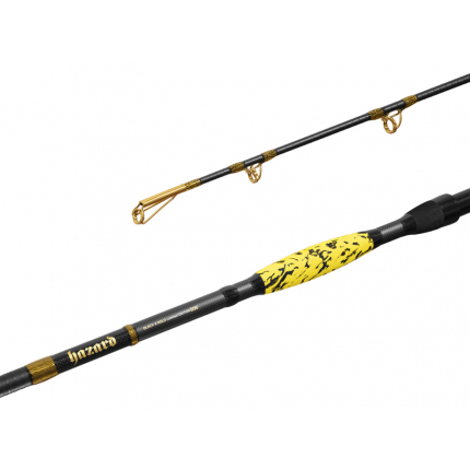 Delphin Prut Hazard BxG 2,55 m 505 g 2 díl