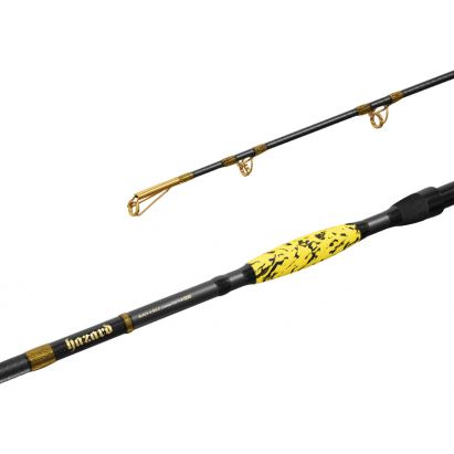 Delphin Prut Hazard BxG 3,1 m 505 g 2 díl