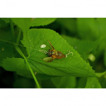 Savage Gear 3D Cicada F Black