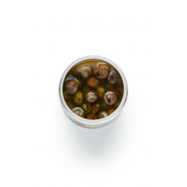 Tiger nut coloured - Scopex / Vanilka (250ml)