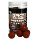 Starbaits Boilies Hard Boilies Spicy Salmon 200g 24mm
