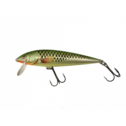 Dorado Wobler Classic Floating 11 cm 16 g GRS