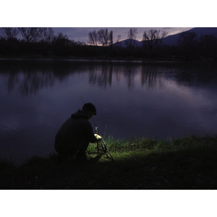 Delphin Čelová Lampa Monox