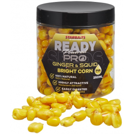  Starbaits Kukuřice Bright Ready Seeds Pro Ginger Squid 250ml