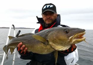 Křeslo sirius Křeslo sirius