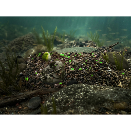 Delphin Pelety Reaxe Ready&Go Pellet Box + Booster a Nástrahy Česnek-Butyric 400 g