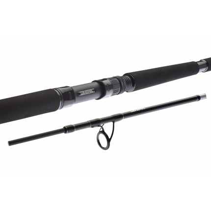 Daiwa Prut BG Boat 2,40 m 150-400 g 2 díl