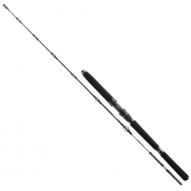Daiwa Prut BG Popper 2,3 m 40-150 g 2 díl