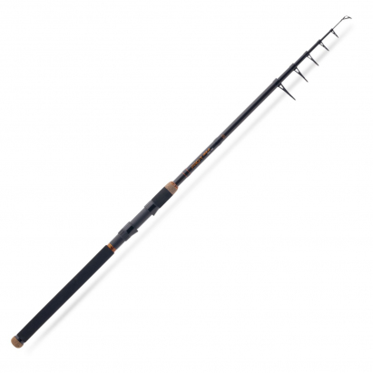 Saenger prut Pro-T Gold Tele 60 3,00m 30–60g Saenger prut Pro-T Gold Tele 60 3,00m 30–60g
