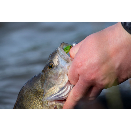 Fox Rage Micro Jig Heads