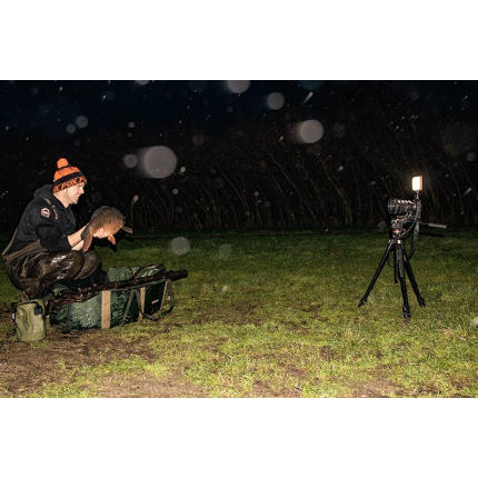 Fox Lampa Halo Photography Light