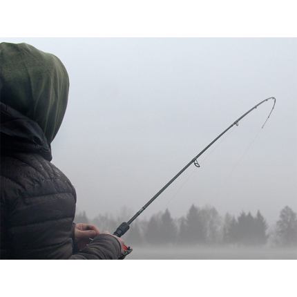 Delphin Prut Bang Darx 2,4 m 10-30 g 2 díl