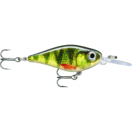 X-Light Shad 04