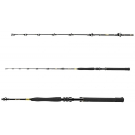 Daiwa Prut BG Big Game 1,68 m 20-30 lb