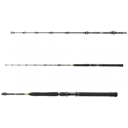 Daiwa Prut BG Big Game 1,68 m 20-30 lb