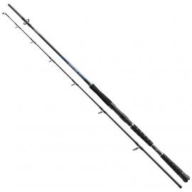 Daiwa Prut Sealine Pilk 2,1 m 100-300 g 2 díl