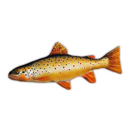 Gaby Polštář  Pstruh Obecný 62cm