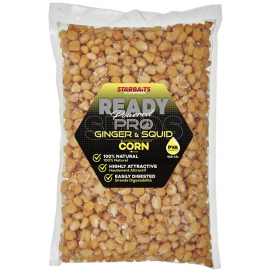 Kukuřice Ready Seeds Pro Ginger Squid 1kg