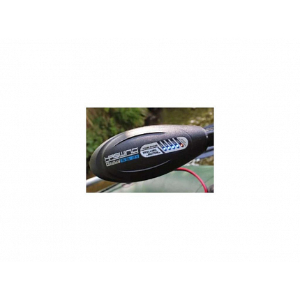 Haswing Elektro Motor Osapian 55 lb