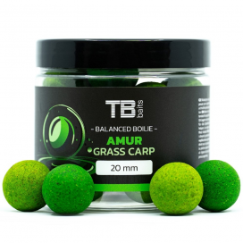 TB Baits Balanced Boilie + Atraktor Amur 100 g 24mm