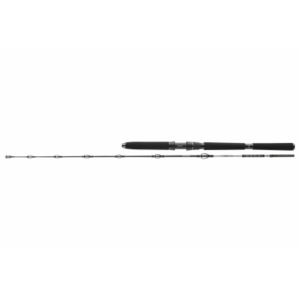 Daiwa Prut BG Deep Sea 2,20 m 30-40 lb 2 díl