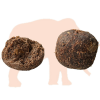 Mastodont Baits Boilies Worms 1 kg 20 mm