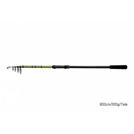 Delphin Prut Partisan 3 m 100 g