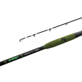 Delphin ENERGY Catfish - 250cm/250-500g/2 díly