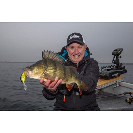 Salmo Wobler Hornet Sinking Hot Perch 5 cm 8,2 g