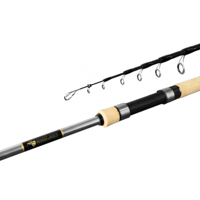 Delphin Prut Aztec Tele 2,1 m 10-30 g