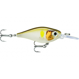 X-Light Shad 04