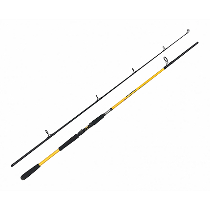 Zfish Prut Kodiak 2,4 m 100-250 g + Naviják Zdarma