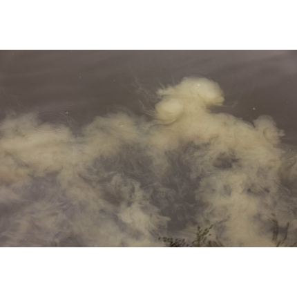 Nikl Boilie Economic Feed Rape Cloud 5kg