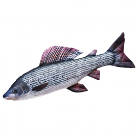 Gaby Polštář Lipan Podhorní 49cm