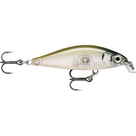 X- Light Minnow 05