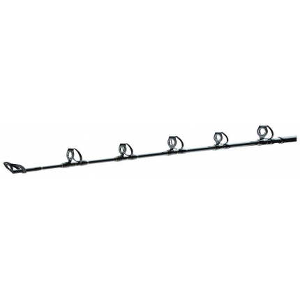 Daiwa Prut BG Big Game 1,68 m 20-30 lb