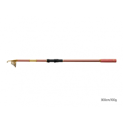 Delphin Prut Queen Tele 3 m 100 g