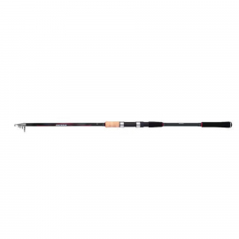 Shimano Sienna AR TEGT Glued 2,70m 30-60g