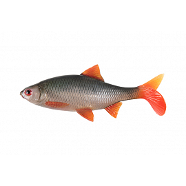 Fox Rage Ultra Realistic Replicant Roach