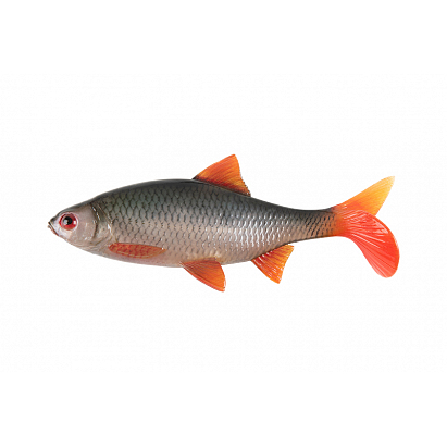 Fox Rage Ultra Realistic Replicant Roach