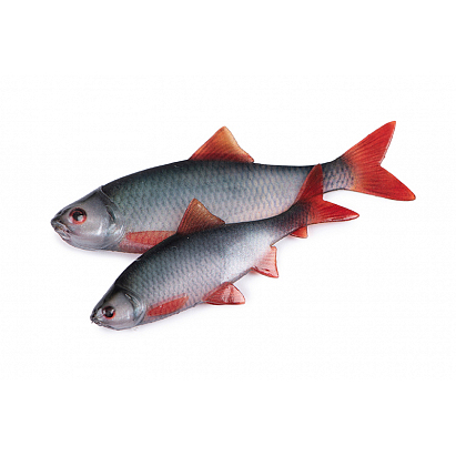 Fox Rage Ultra Natural Fillets
