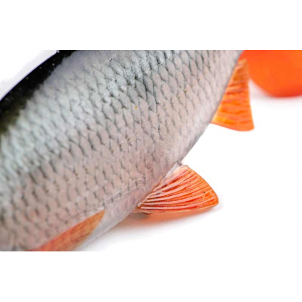 Fox Rage Gumová Nástraha Ultra Realistic Roach Replicant