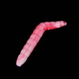 Iron Trout gumová nástraha Baco vzor WR 4 cm 6 ks