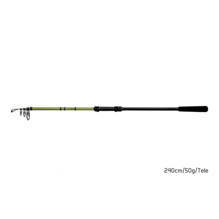 Delphin Prut Partisan 2,4 m 50 g