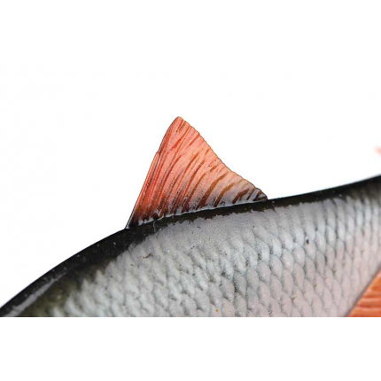 Fox Rage Gumová Nástraha Ultra Realistic Roach Replicant