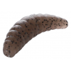 Mikado Nástraha Marea Maggot Červ 42mm/pepřový 10 Ks